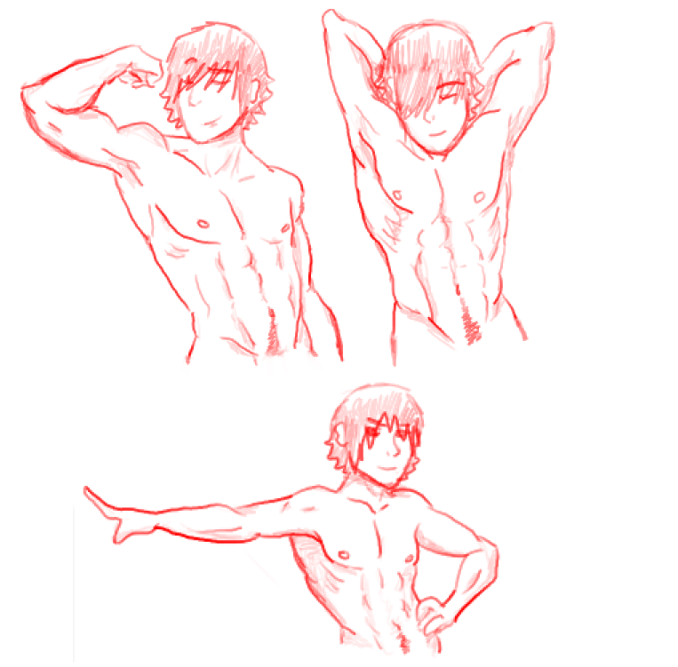 Male Anatomy Practice 1