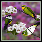 Spring Songbirds by mk-kayem