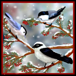 Winter Songbirds by mk-kayem