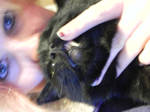 Cat Beard Fail by HelsBreeze