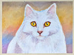 White cat oil pastel drawing by Meeske