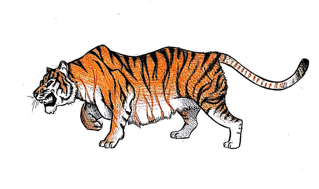 Shere Khan by Avapithecus on DeviantArt