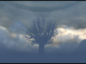 Reverie Tree