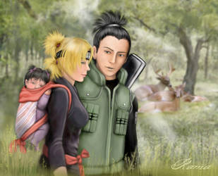 Nara clan forest