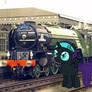Nyx the alicorn in front of the 60163 tornado