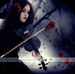 -red rose- by TuubArt