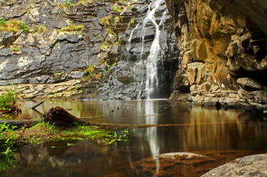 Sheoak Falls Stock