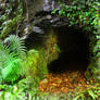 Cave Stock