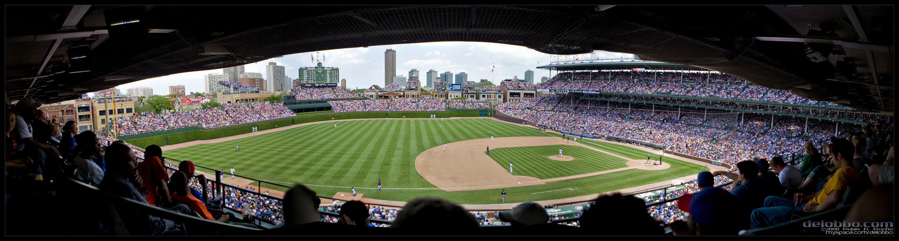 cubs panorama