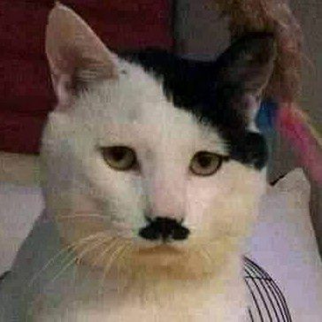 Kitler Scared kitler by oldman-krampus on DeviantArt