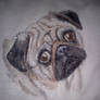 Portable Little Pug - Painting on a T-Shirt