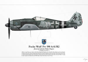 Fw 190 A-8 (Walter Wagner) by matsudesign