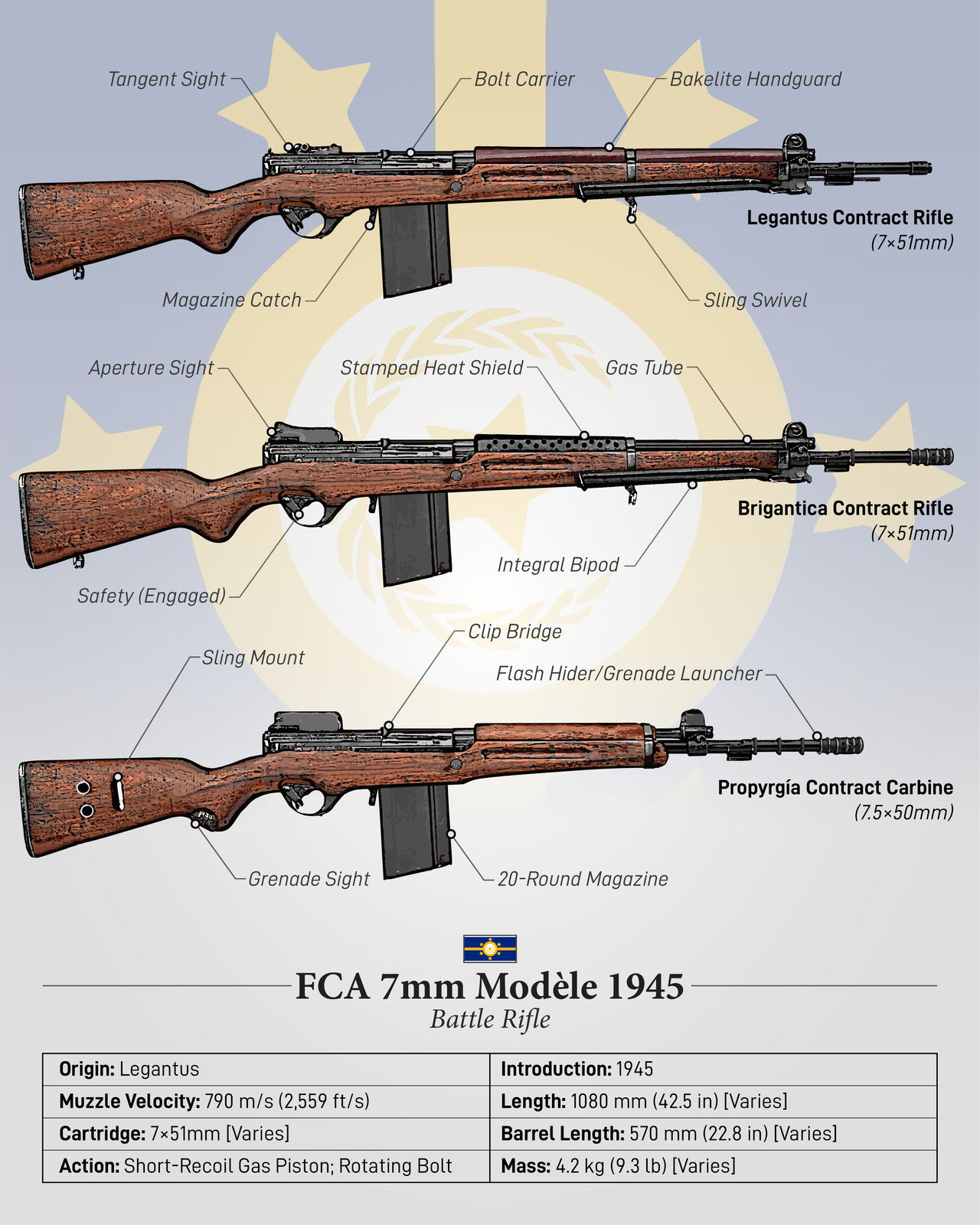 Assault Rifle vs Battle Rifle 