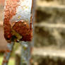 the rusted railing