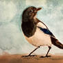 Magpie3