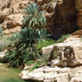 S-stock: Wadi Shab 3