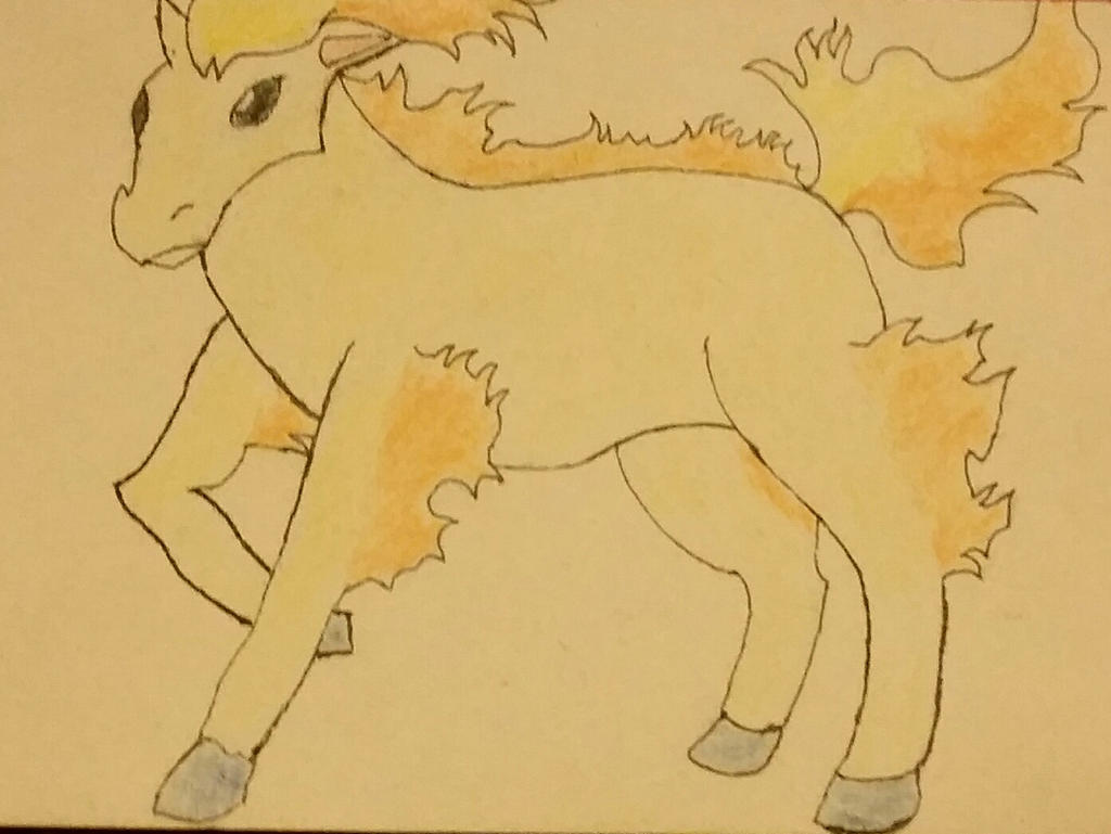 Ponyta!