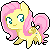 Fluttershy icon : free to use