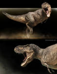Tyrannosaurus rex_variant 2