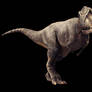 T-Rex, new render