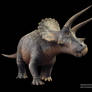 Triceratops horridus