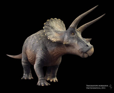 Triceratops horridus