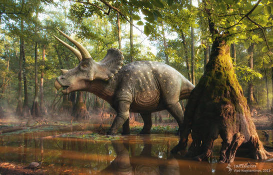 Triceratops in the forest