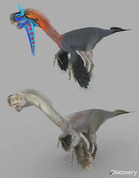 Gigantoraptors from DR 3