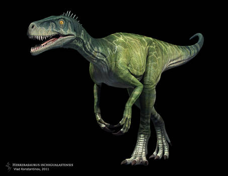 Herrerasaurus ischigualastensis