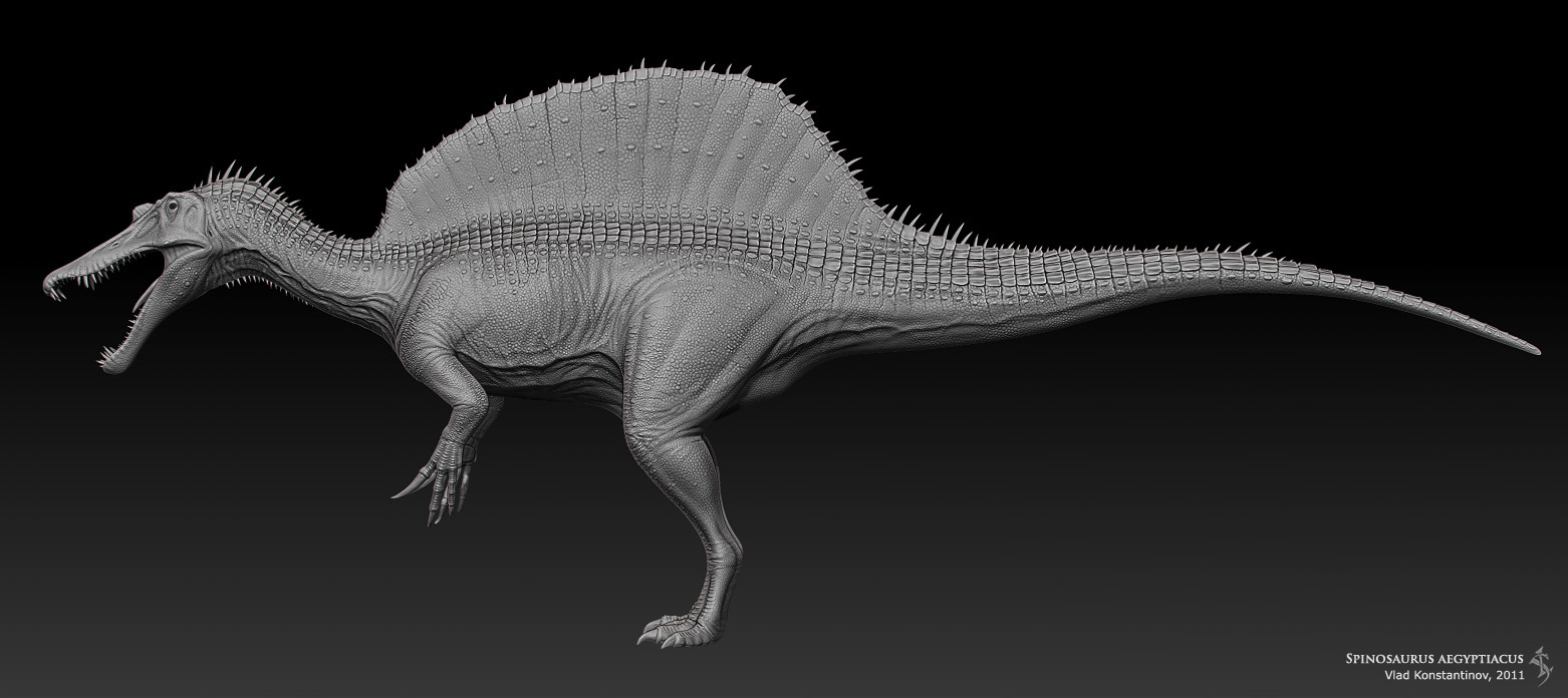 Spinosaurus WIP