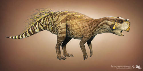 Psittacosaurus. Dino Dan