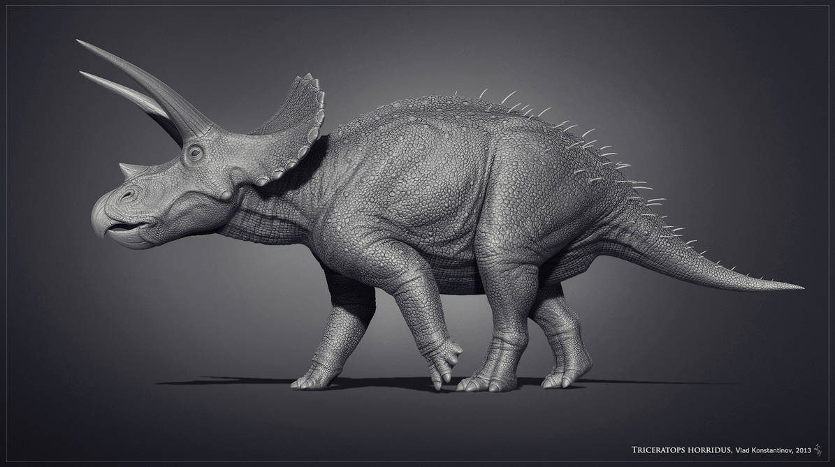Museum Triceratops by Swordlord3d