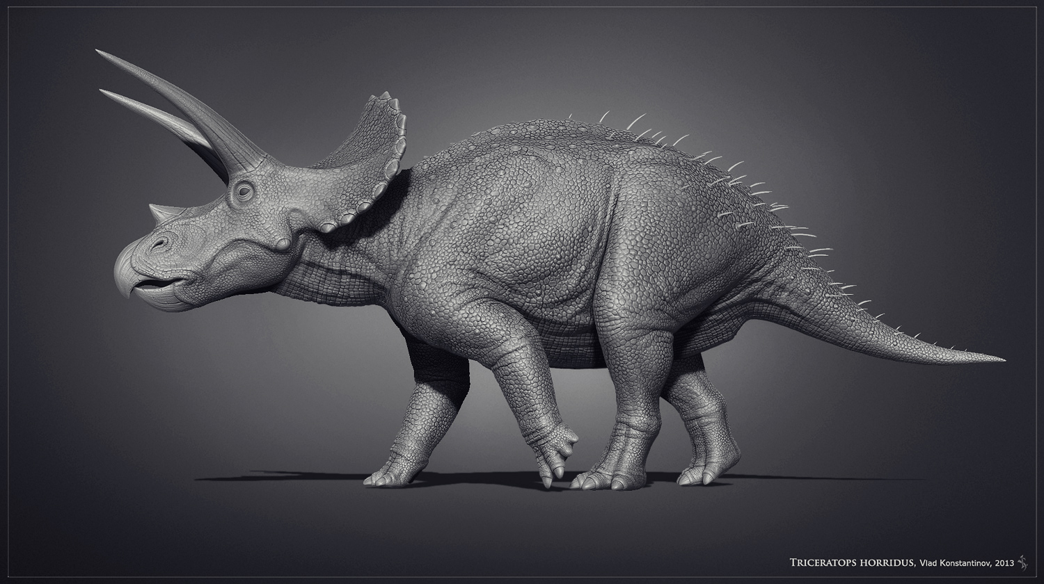 Museum Triceratops by Swordlord3d