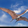 Quetzalcoatlus. The Stomping Land. 01