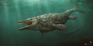 Tylosaurus pembinensis