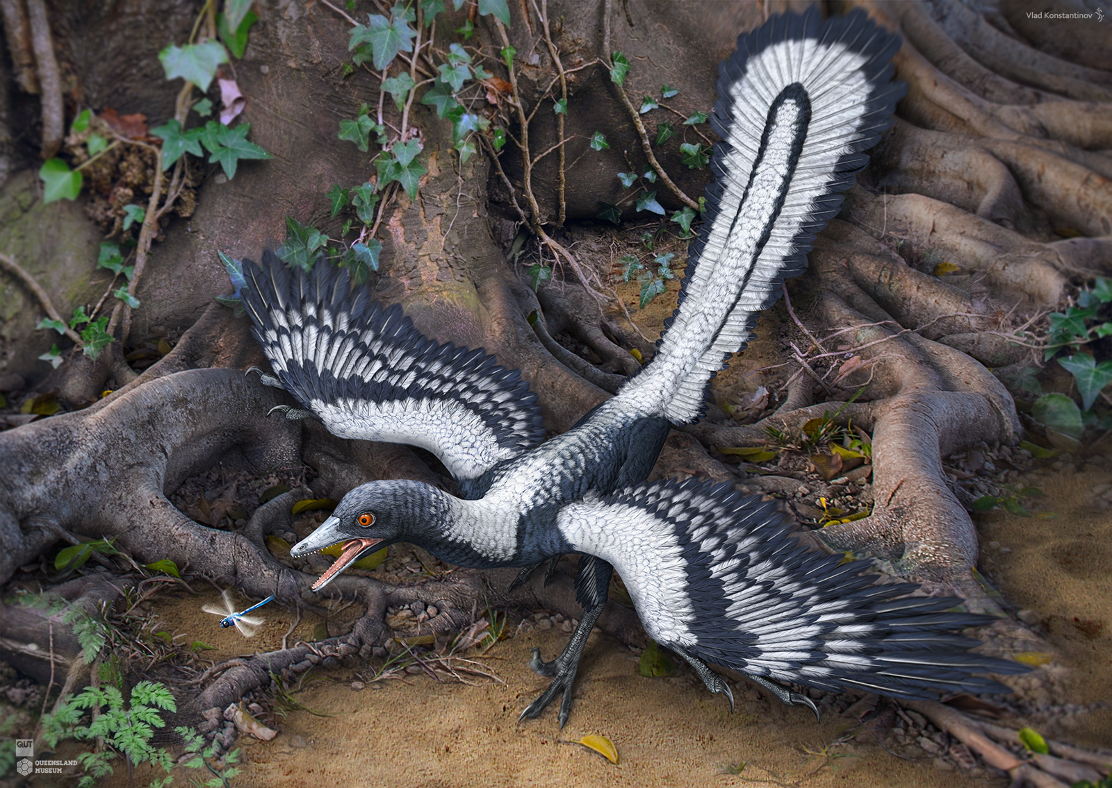 Archaeopteryx by Swordlord3d on DeviantArt