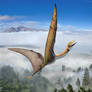 Montanazhdarcho minor