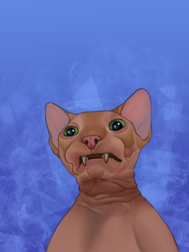 bingus thing by nimfogar on DeviantArt