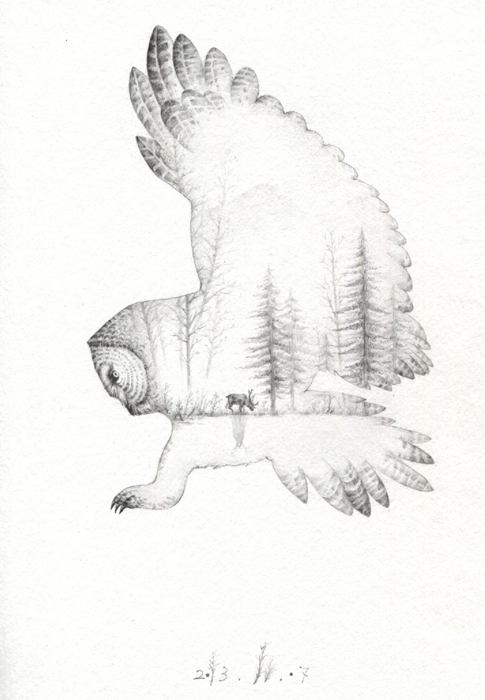 Owl