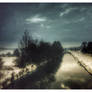 Dawn