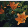 orange and green