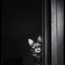 Under observation