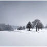 Winter's coming on