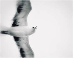 Be free