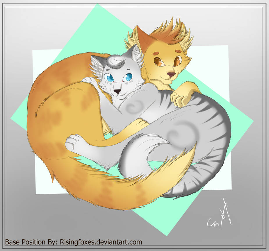 Fluffy Cat Couple Drawing Cinderblaze Warrior Cats Forums Fluffy Cat Couple Drawing Cinderblaze Warrior Cats Forums
