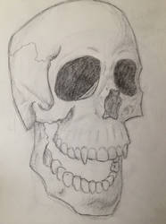 Skull 3