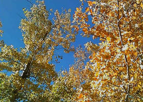 My favorite time of the year, Autumn