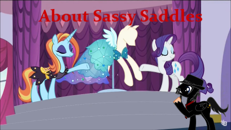 About Sassy Saddles