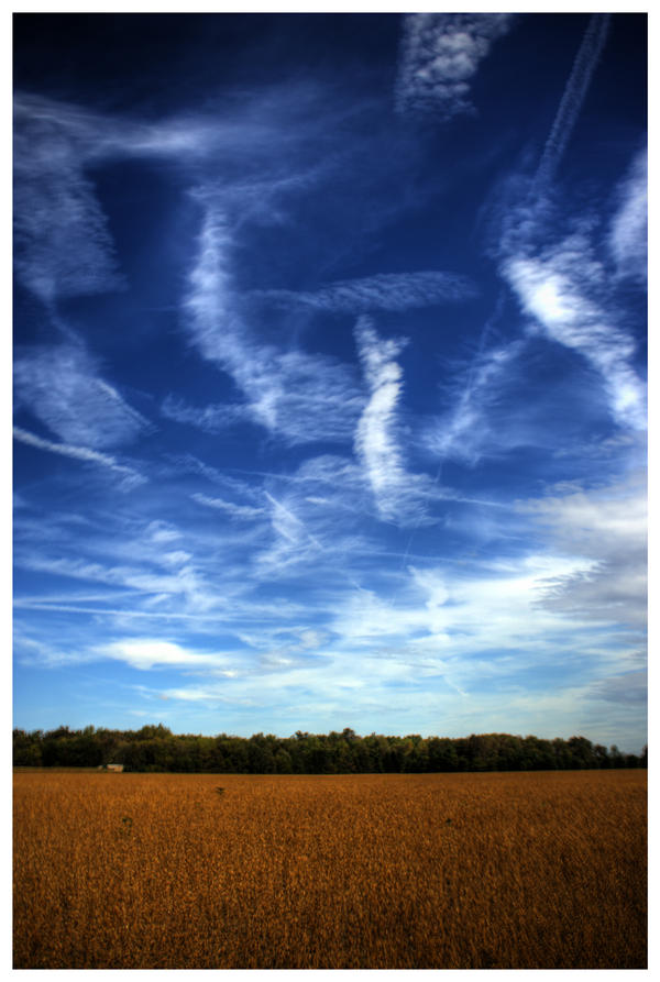 Field Collection Blue Field of Blue by MrArtsy on DeviantArt