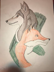 The Fox and the Wolf 
